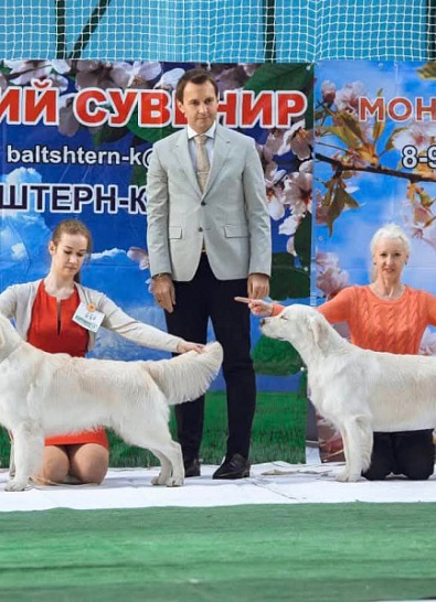 Национальная выставка собак всех пород 