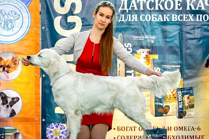 Национальная выставка собак всех пород _3