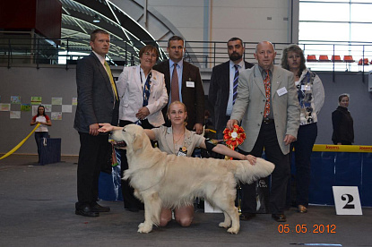 TALSI DOG SHOW (Latvia)            BIS - 1 !!!_0