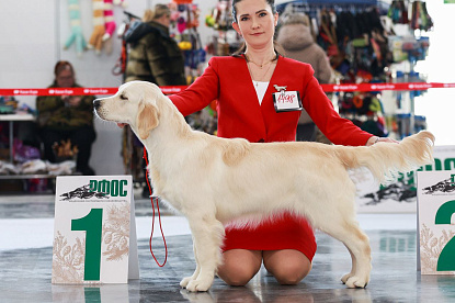 Рейтинговая выставка памяти Сабанеева _4