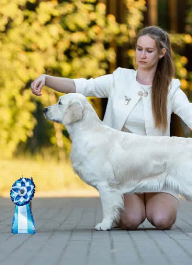 Национальная выставка собак всех пород 