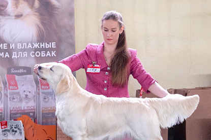 Российский ретривер клуб "Ретривер - 2024" Москва_1