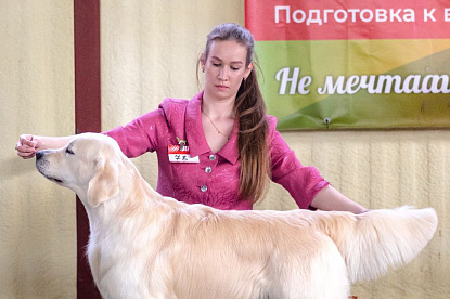 Российский ретривер клуб "Ретривер - 2024" Москва_2