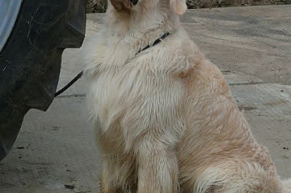 Работаем и отдыхаем_10