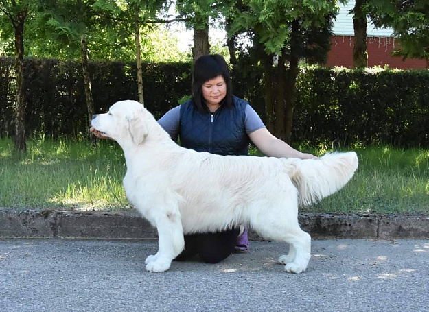 Фото Milbu Twister to Nenuoramos стойка