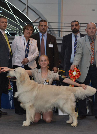 TALSI DOG SHOW (Latvia)            BIS - 1 !!!