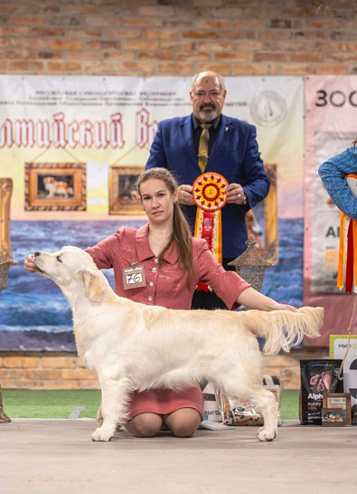 Национальная выставка собак всех пород 