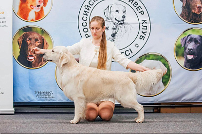Российский ретривер клуб "Ретривер - 2023" Москва_0