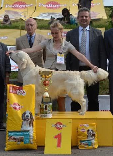 Международная выставка собак всех пород  BIS -  1 !!!!