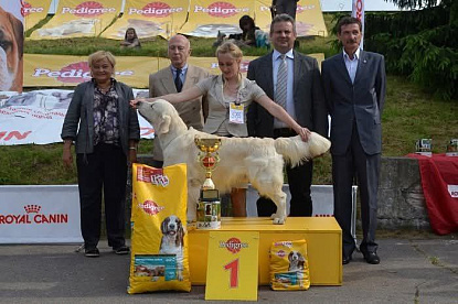 Международная выставка собак всех пород  BIS -  1 !!!!_0