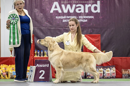 Национальная выставка собак всех пород _4