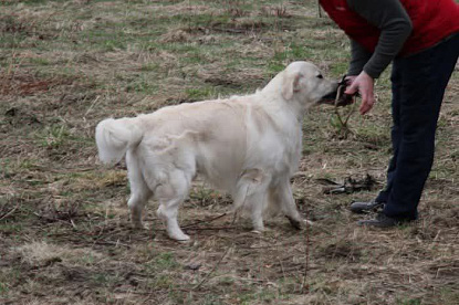 Работаем и отдыхаем_5