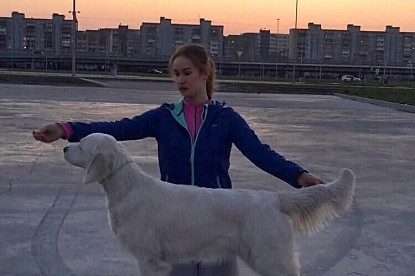 Национальная выставка собак всех пород _1