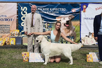 Национальная выставка собак всех пород _0