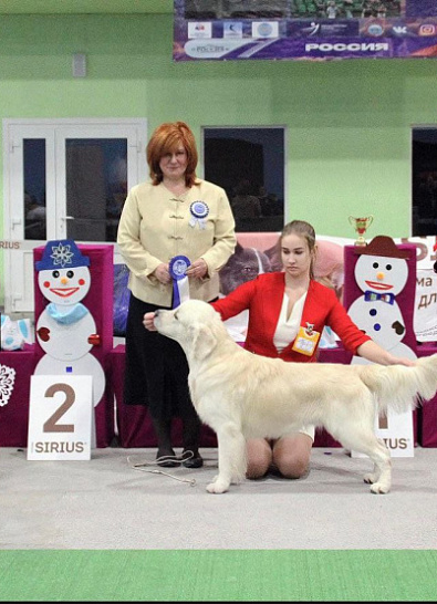 Национальная выставка собак всех пород 