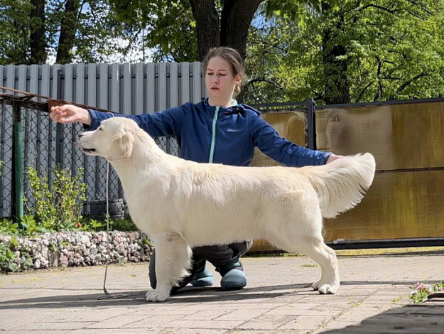 Фото Рейчел стойка
