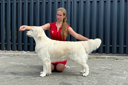 Рейтинговые выставки Калининград_2