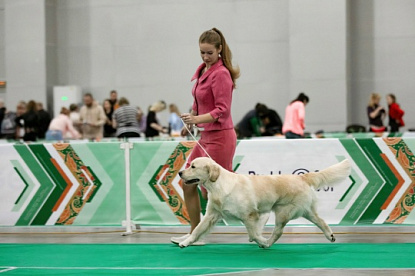Евразия 2024, г. Москва_2