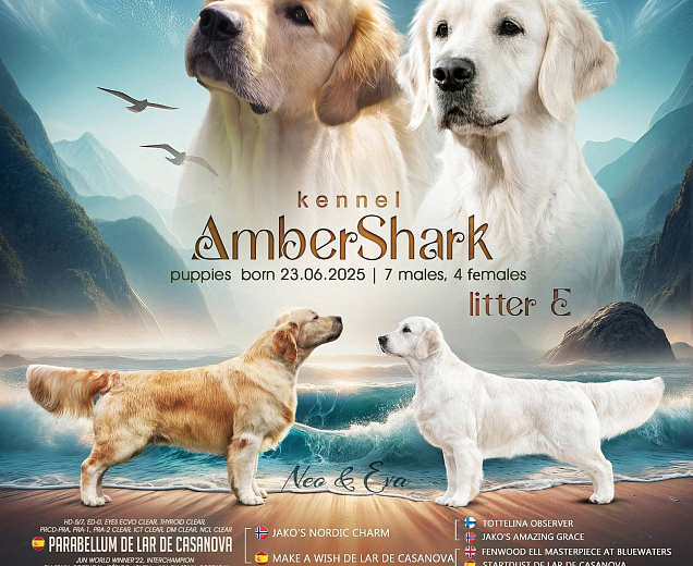 Фото Помет "E" морда