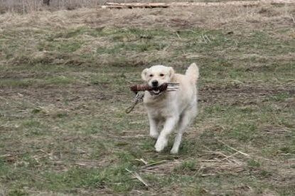 Работаем и отдыхаем_4