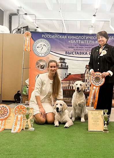 Национальная выставка собак всех пород 