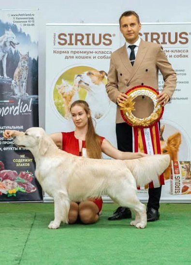 Национальная выставка собак всех пород   //  BIS - 1 !!!