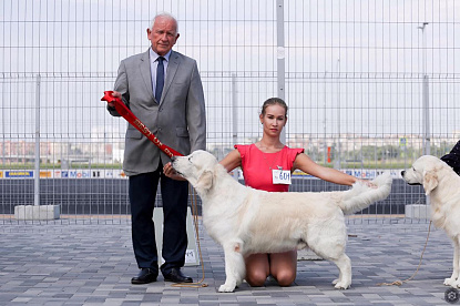 Международная выставка собак всех пород _2