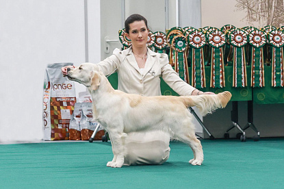 Рейтинговая выставка памяти Сабанеева _1