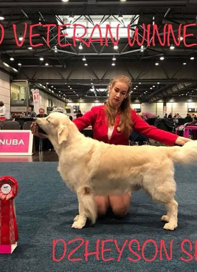 Чемпионат Мира 2017 Лейпциг Германия WORLD DOG SHOW 2017 Leipzig