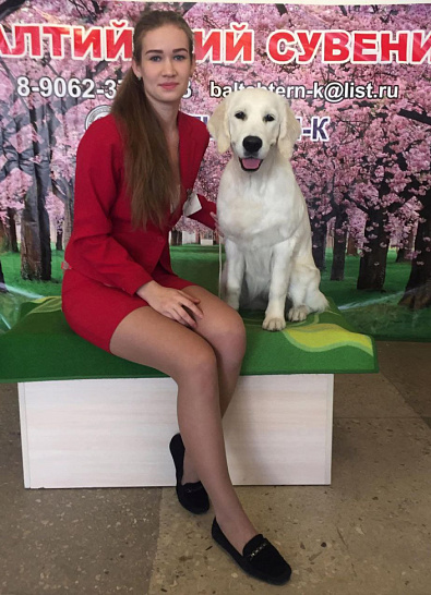 Национальная выставка собак всех пород 