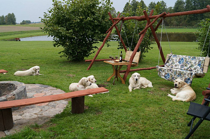 Наша жизнь_7