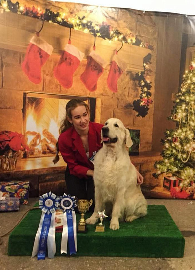 Национальная выставка собак всех пород  