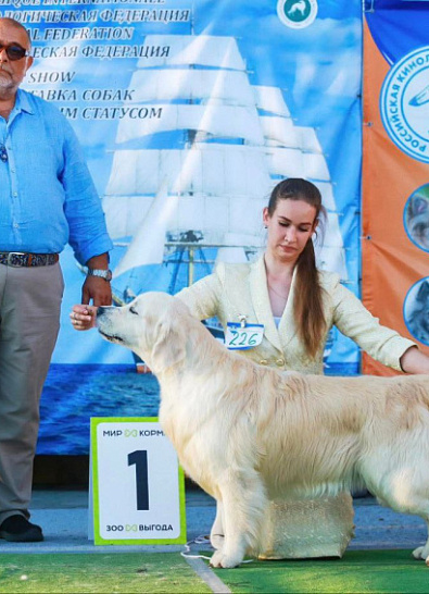 Рейтинговые выставки г. Калининград