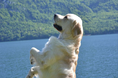 Кевин 06.02.2011 - 24.05.2023_5