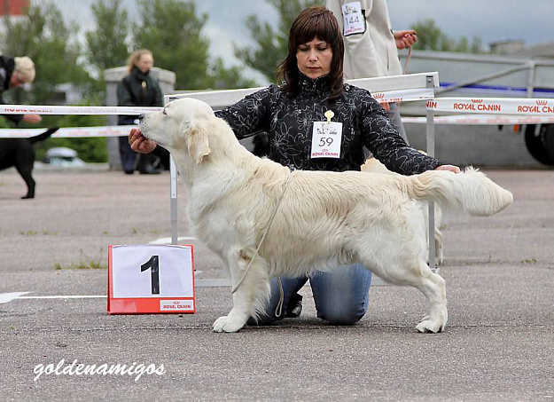 Фото Benito морда