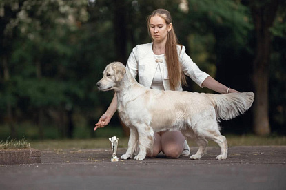 Национальная выставка собак всех пород г.Калининград _0
