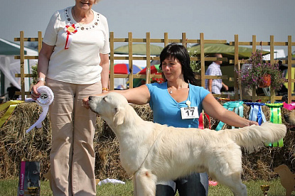XIX Lithuanian retriever club show , Druskininkai (LT)_0
