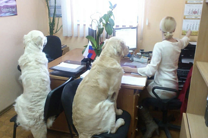 Наша жизнь_10