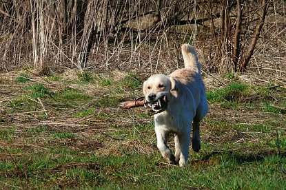 Работаем и отдыхаем_1