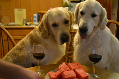 Наша жизнь_2