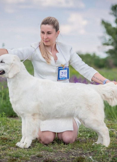 Национальная выставка собак всех пород 