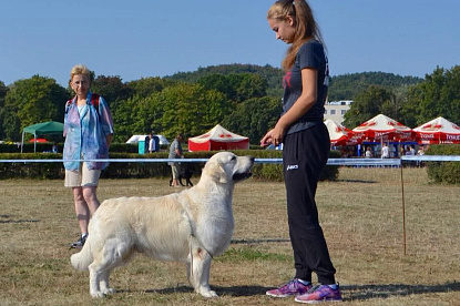 Специализированная выставка VIII группы FCI Сопот (Польша)_0