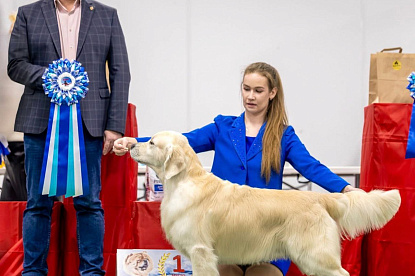 Национальная выставка собак всех пород г. Калининград_1