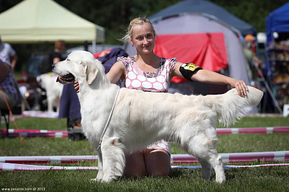 XIX Lithuanian retriever club show , Druskininkai (LT)_1