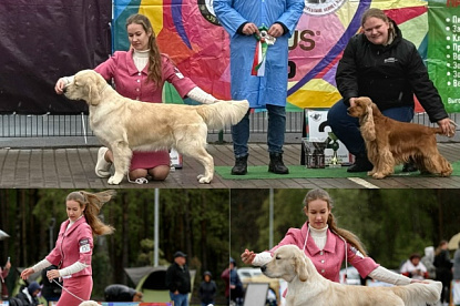 Национальная выставка собак всех пород_0