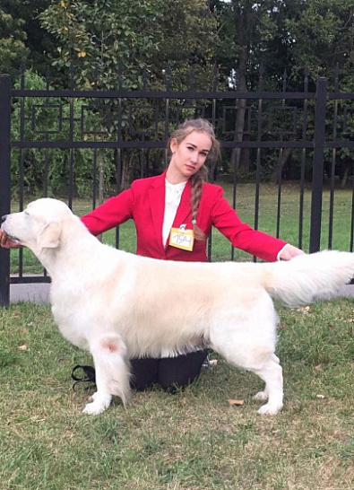 Национальная выставка собак всех пород 