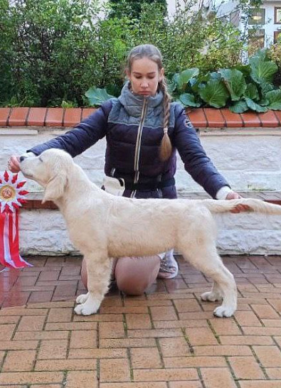 Национальная выставка собак всех пород