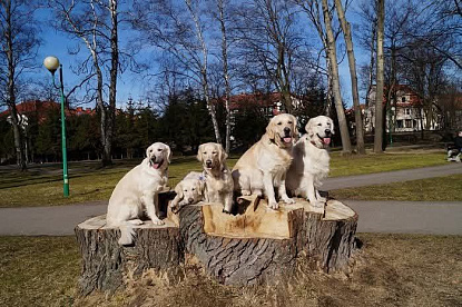 Путешествия_6