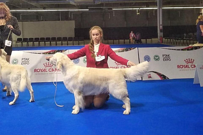 Чемпионат Европы 2018 Варшава European Dog Show Warszawa _0