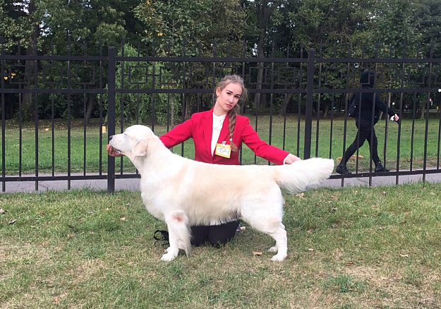 Фото Джейк стойка